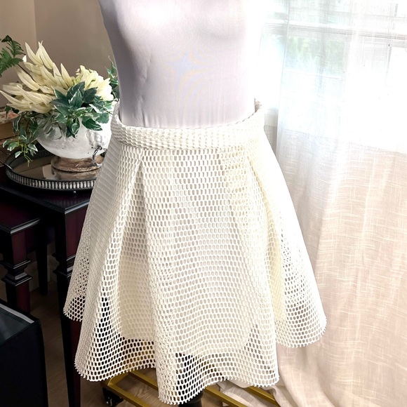 NWOT, White Fishnet Short Pleated Skirt by Charlotte Russe, Fully Lined, Size M - Picture 2 of 7